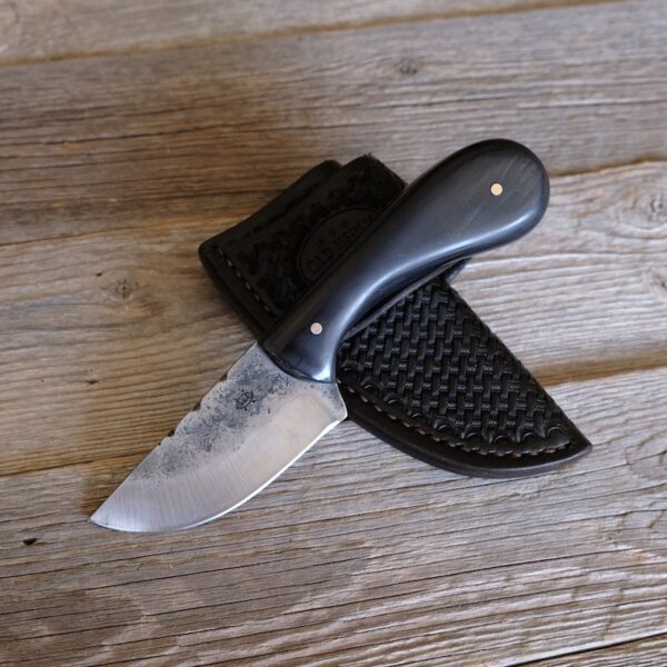 Buffalo Horn Javelina