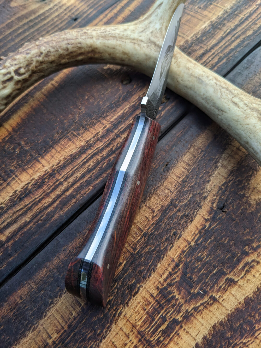 A recurve hunting knife with chainsaw chain damascus cladding.