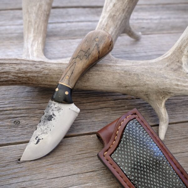 Spalted Maple Javelina