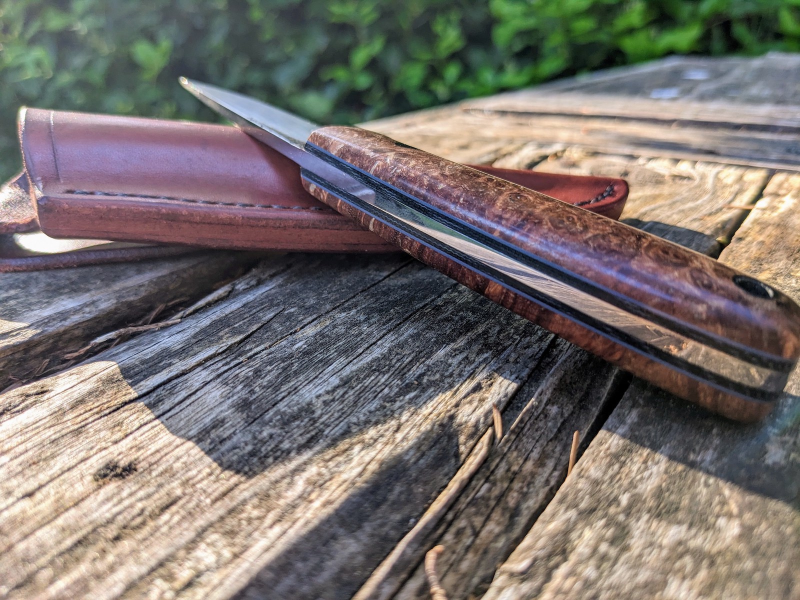 The spine of a Heeler knife model with a maple burl handle and black and gray liners.