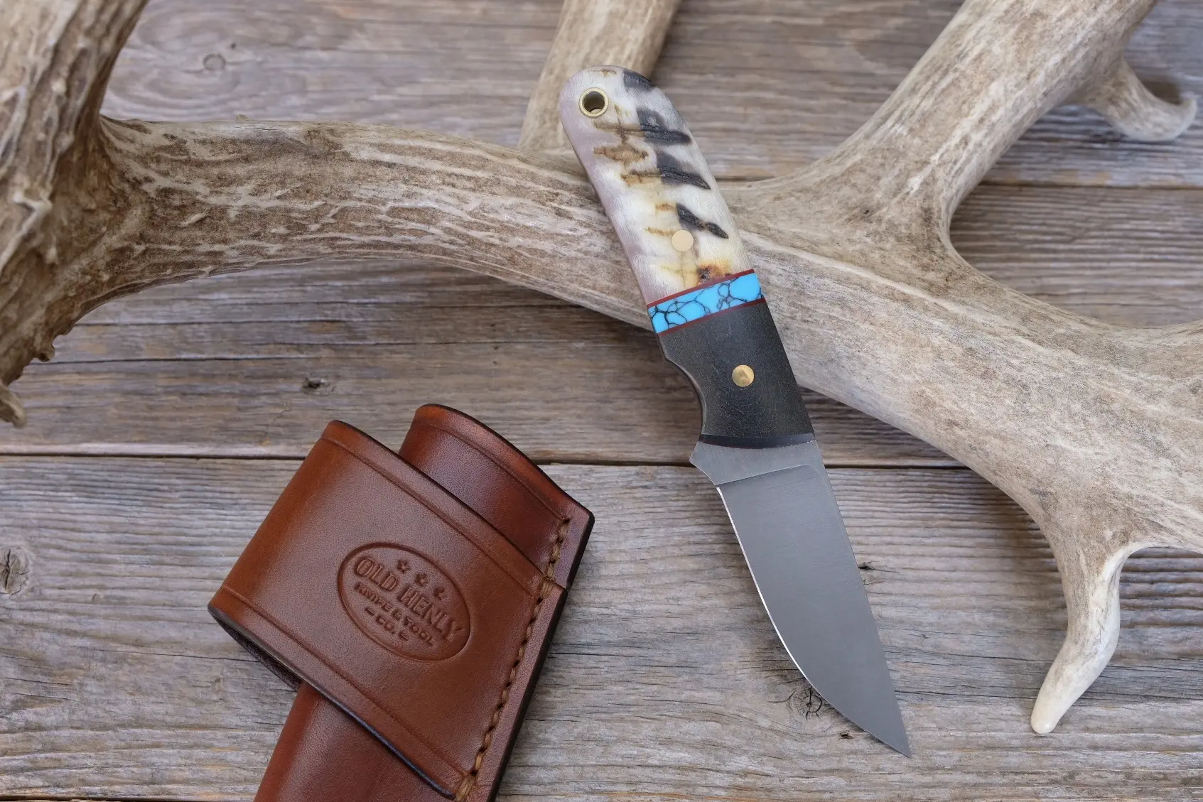 Turquoise Ram - Image 2