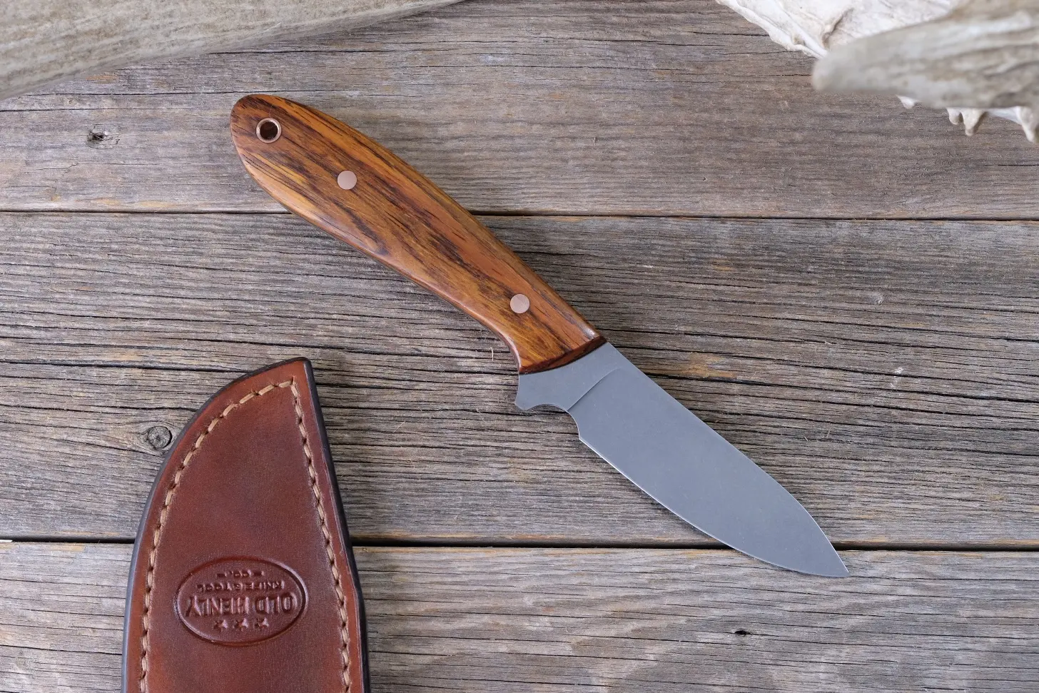 Cocobolo Field Knife - Image 2