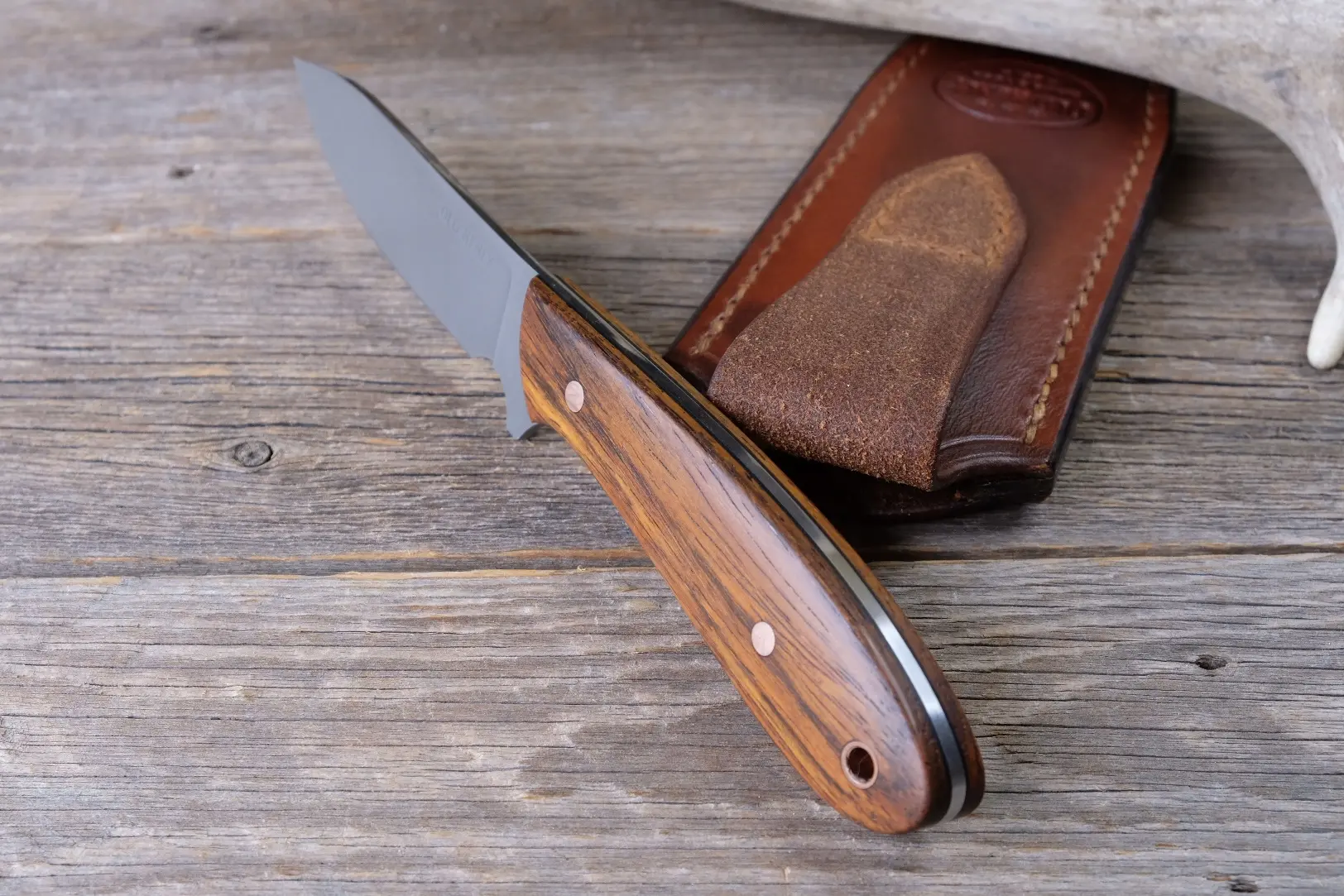 Cocobolo Field Knife - Image 3