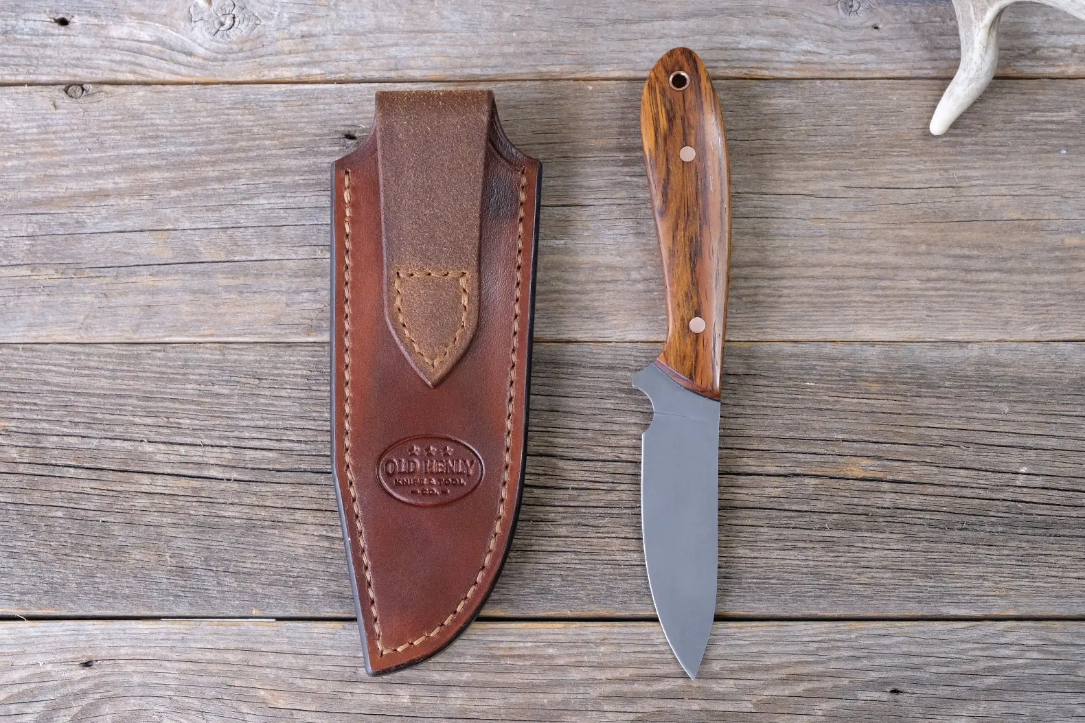 Cocobolo Field Knife - Image 7
